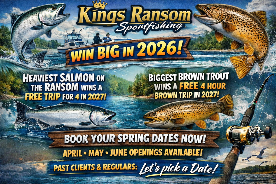 Catch Big Salmon & Brown Trout | Kings Ransom 2026 Contest