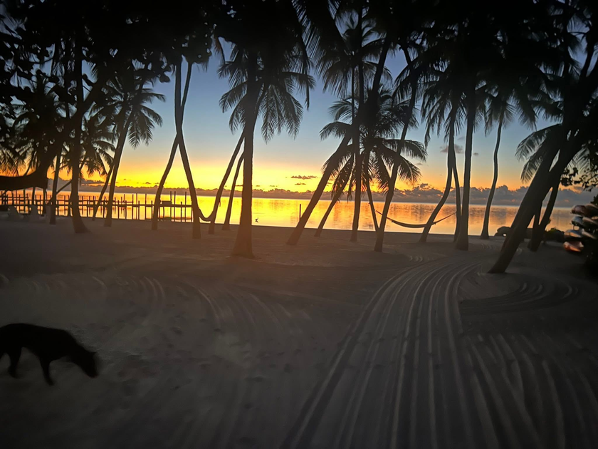 Top Things to Do in Islamorada | Florida Keys Attractions