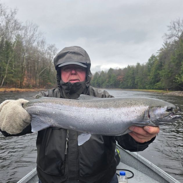 New York Fishing License Guide | Real Fishy Guide Service