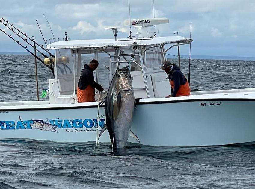 Top-Rated Bluefin Tuna Charters | Cape Cod Fishing