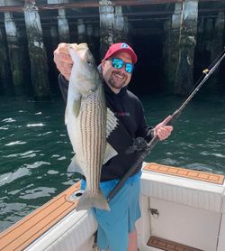 Striped bass caught while fishing in MA