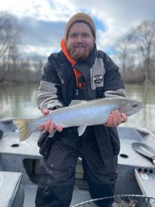 Fishing Muskegon river for Salmon & Trout, MI
