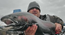 Michigan Salmon Fishing