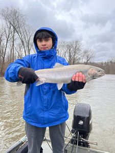 Muskegon river salmon fishing, MI