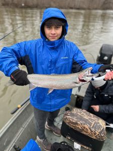 Michigan fishing guide for Salmon & Trout