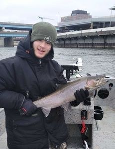 A single rainbow trout fish caught in Wyoming