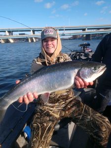 A single rainbow trout caught in Wyoming