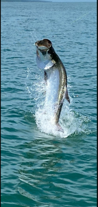 One fisherman casting a line in the waters of Chokoloskee