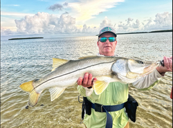 Snook, a 36-inch fish caught while fishing in Chokoloskee