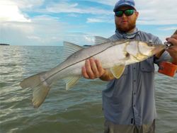 Snook fish caught in FL