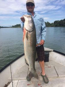 River Striper, Big Smiles