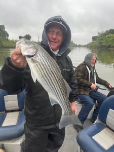 California River Bass Catch