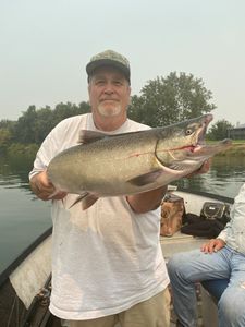 Chinook salmon caught in CA