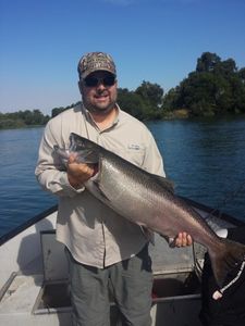 Chinook Salmon caught in CA