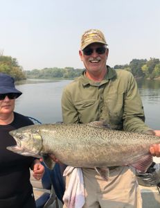 Chinook salmon caught fishing in CA