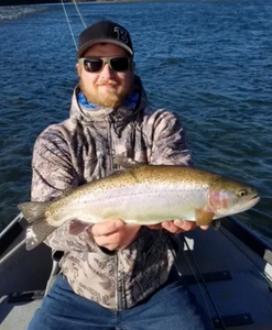 Photograph of a pink salmon, 20 inches in size, caught in Anderson