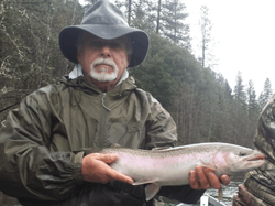 Photograph of a 15-inch pink salmon caught while fishing in Anderson