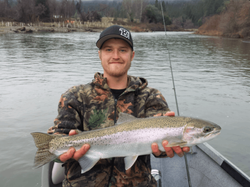 A single pink salmon caught in CA