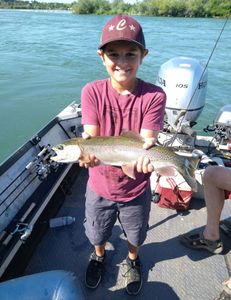Stunning rainbow trout caught in Anderson