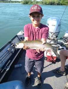A single rainbow trout fish caught in CA
