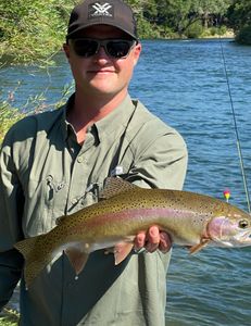 Rainbow trout fishing in Anderson