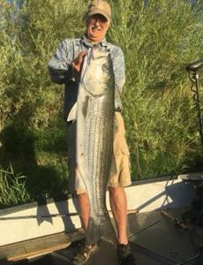 Striped bass caught in Anderson