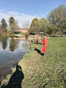 Fishing scene at a pond in Rochester NY with angler casting line from grassy shoreline