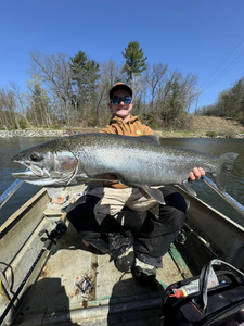 Fisherman holding a huge lake trout in MI