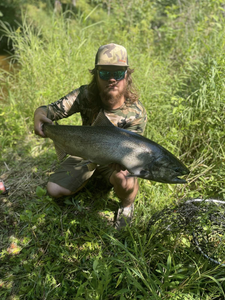 Angler fishing in Frankfort