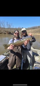 Rainbow Trout fishing in MI