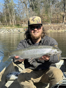 Rainbow trout caught in MI