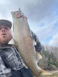 Angler holding a large rainbow trout fish in Frankfort