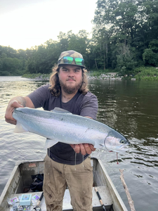 A single rainbow trout caught in Frankfort