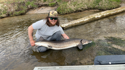 Angler with a massive white sturgeon in Michigan