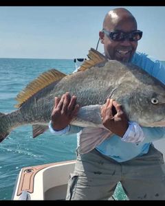 Afternoon Black Drum casts in Wanchese
