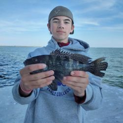 Photograph of a 17-inch sea bass caught in NC