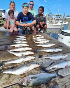 A group of 9 bluefish, spotted weakfish, and spotted weakfish caught in Wanchese