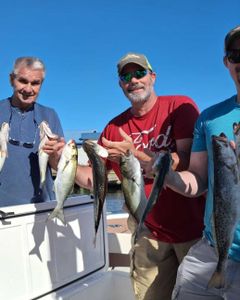 5 sea trout and bluefish caught by 2 people fishing in Wanchese