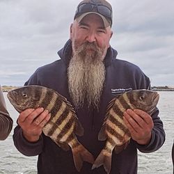 Two sheepshead fish caught while fishing in NC
