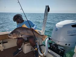 A 26-inch black drum fish caught by one person in NC