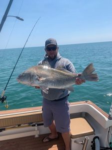 Angler with a large black drum fish caught in Wanchese