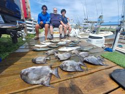4 bluefish caught on a fishing tour in NC