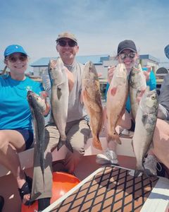 4 big bluefish caught during fishing tour in Wanchese