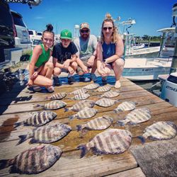 5 sheepshead fish caught during fishing tours in NC