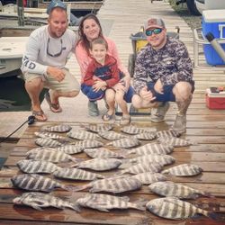 6 sheepshead and black drum fish caught during a fishing trip in North Carolina