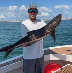 Cobia fishing in Wanchese