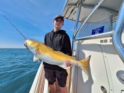 Fish-Species