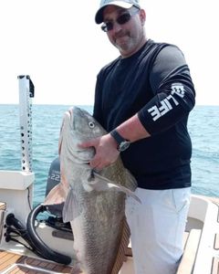 Catch of the day at Wanchese marina: Black Drum
