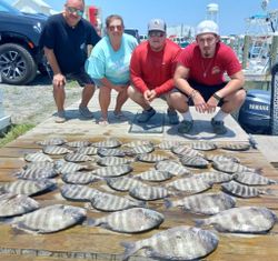4 crevalle jack and black drum fish caught in NC