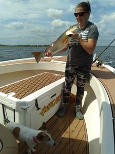 Two 18-inch fish caught while fishing in NC